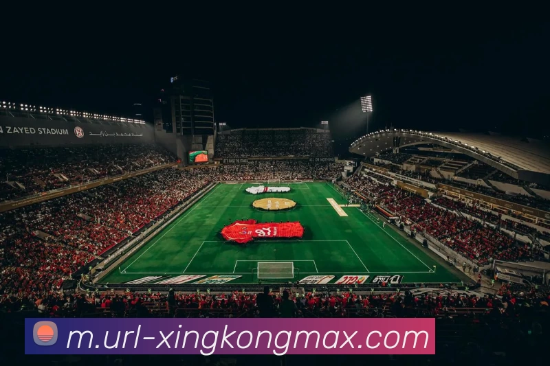 星空体育APP 封面图